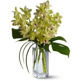 Orchid Elegance Bouquet