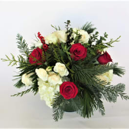 Bouquet of red and white roses with evergreen foliage
