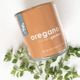 Culinary Garden- Oregano