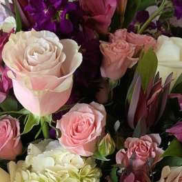 Bouquet of pink and white roses with purple flowers