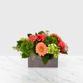 Mixed bouquet in a gray rectangular container with pink, coral, and green blooms