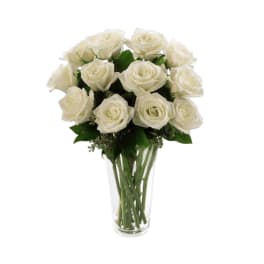 Classic White Roses