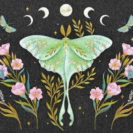 Decorative moth illustration with pink flowers on a dark background