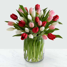 Bouquet of red, pink, and white tulips in a clear glass vase
