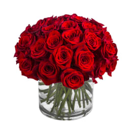 Three Dozen Modern Red Roses