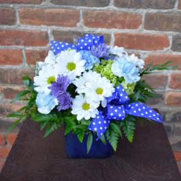Blue vase arrangement with white daisies, purple blooms, and polka-dot ribbon