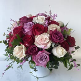 Bouquet of roses in pink, red, and white in a white vase