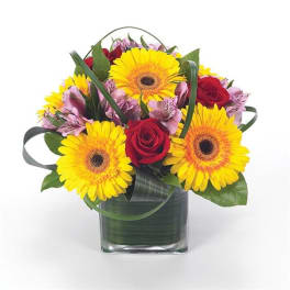 Bouquet of yellow gerbera daisies and red roses in a square glass vase