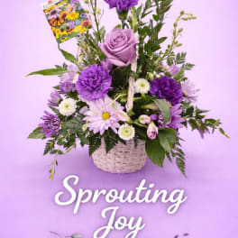 Sprouting Joy Bouquet