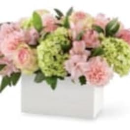 Pink and green floral arrangement in a white box