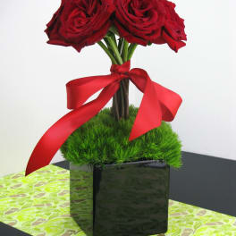 Topiary-style arrangement of red roses in a black cube vase with a red ribbon bow
