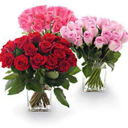 Three rose bouquets in clear glass vases, in red and pink shades