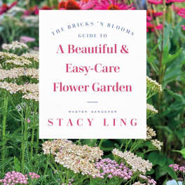 The Bricks 'N Blooms guide to a beautiful & easy care garden