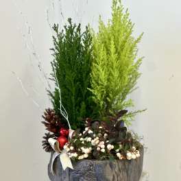 Christmas Classics Collection by Westford Florist