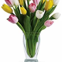 Bouquet of pink, yellow, and white tulips in a clear glass vase