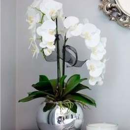 White phalaenopsis orchid plant in a shiny silver round pot beside a white candle and pearl necklace