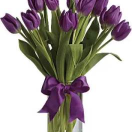Purple tulips tied with a purple ribbon in a clear glass vase.