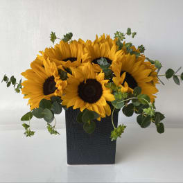 Sunflower arrangement in a black rectangular vase