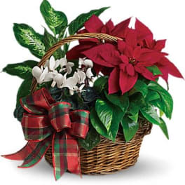 Christmas Homecoming Basket