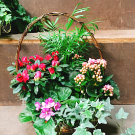 Basket of potted flowering plants with pink blooms and ivy