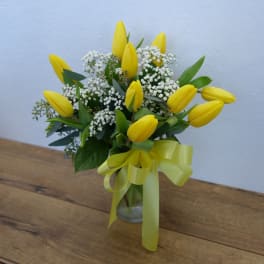 Sunny Yellow Tulips