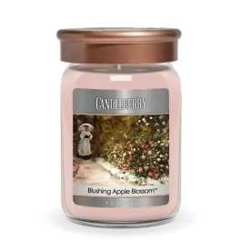 50% OFF! Candleberry Blushing Apple Blossom