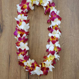 A floral lei made of white, pink, and yellow orchids