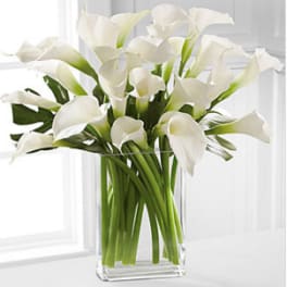 Simplicity Luxury Calla Lily Bouquet