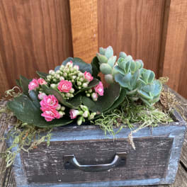 Succulent arrangement with pink blooms in a rustic wooden box