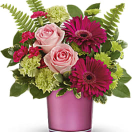 Pink roses and magenta gerbera daisies in a pink vase