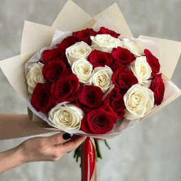 Bouquet of red and white roses wrapped in cream paper