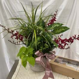 Arrangement of red orchids and green foliage in a woven pot with a pink ribbon