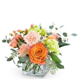 Bouquet of orange and peach flowers in a square glass vase