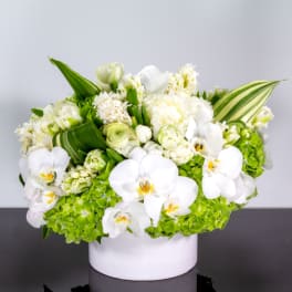 Low white and green floral arrangement with orchids and hydrangeas in a round white vase