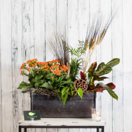 Rectangular planter of orange flowering plants and mixed foliage with tall wheat stems and a rustic accent pod