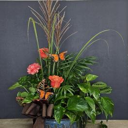 Tropical plant arrangement with orange roses, pink carnations, and butterfly accents in a blue pot