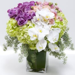 Compact arrangement of purple roses, white orchids and green hydrangeas in a clear glass vase