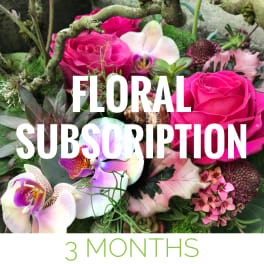 Floral subscription promo with pink roses and orchids