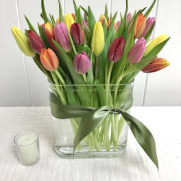 Colorful tulips arranged in a clear glass vase with a green ribbon