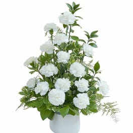 White carnation arrangement in a white vase