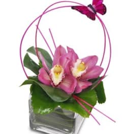 Pink orchids in a glass vase with a butterfly accent