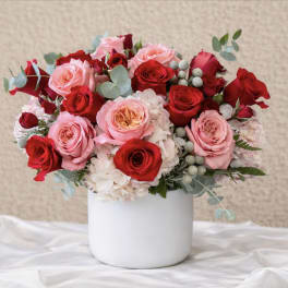 Pink and red roses arranged in a white vase