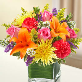 Vibrant Posies- Multicolor