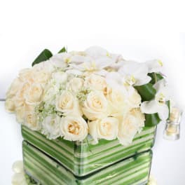 Low arrangement of ivory roses and white orchids in stacked square glass vases lined with green bands