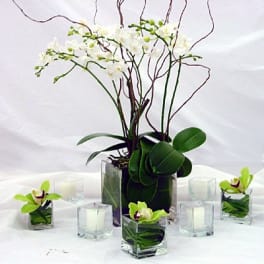 White orchid arrangement in a square glass vase with small candle holders
