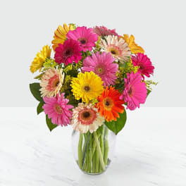 Colorful gerbera daisy bouquet in a clear glass vase
