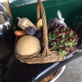 Wicker basket filled with assorted fruit and a succulent cluster