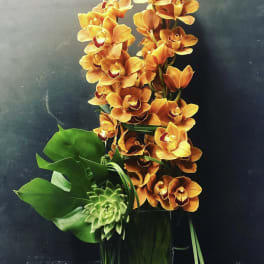 Orange orchids arranged with large green leaves and a succulent.