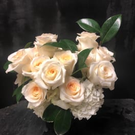 Cream roses arranged with white hydrangeas and glossy green leaves