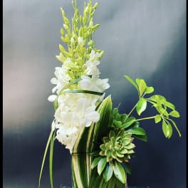 White orchid arrangement with succulents in a glass vase